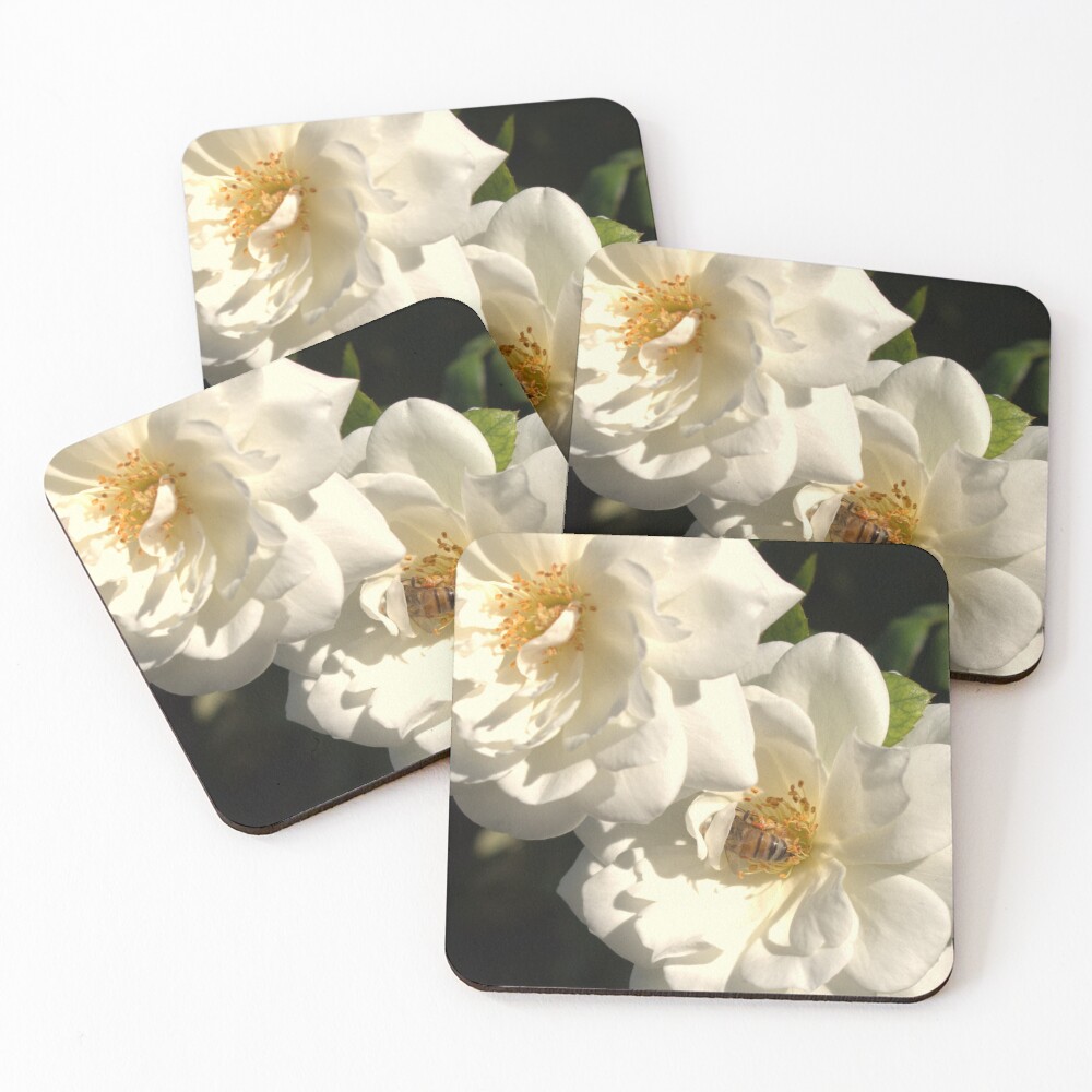 Item preview, Coasters (Set of 4) designed and sold by MangoSeeds.