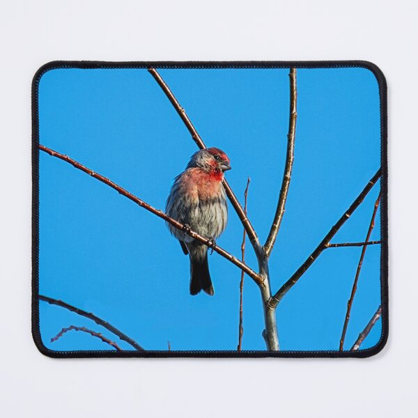 Item preview, Winter Visitor designed and sold by WrightDesignsUS.