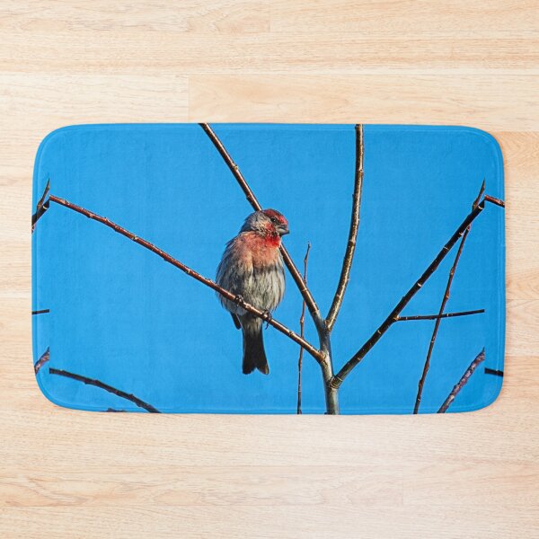 Item preview, Winter Visitor designed and sold by WrightDesignsUS.