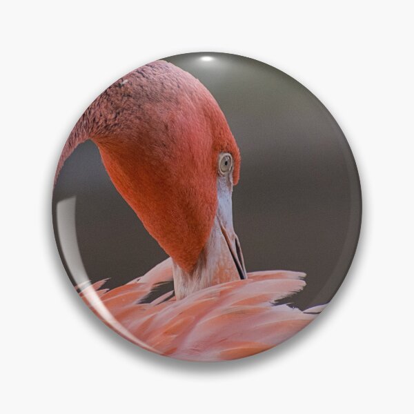 Item preview, Feather Ritual designed and sold by WrightDesignsUS.