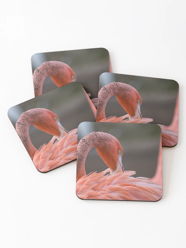 Thumbnail 1 of 5, Coasters (Set of 4), Feather Ritual designed and sold by WrightDesignsUS.