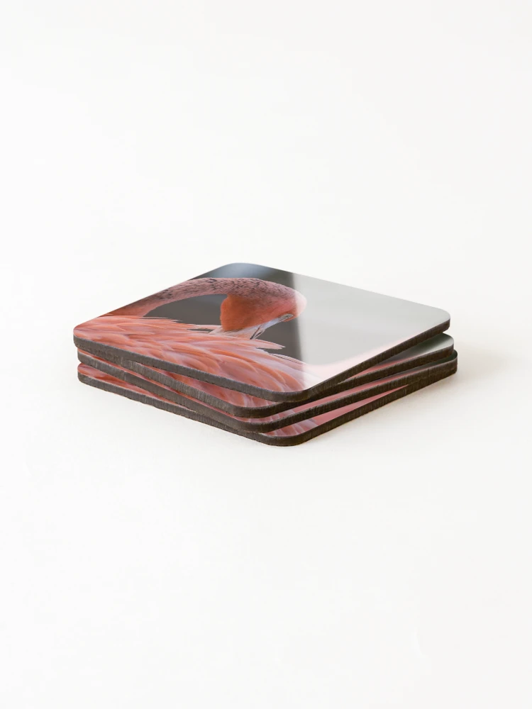 Thumbnail 4 of 5, Coasters (Set of 4), Feather Ritual designed and sold by WrightDesignsUS.