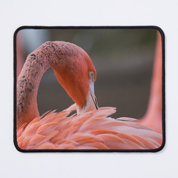 Item preview, Feather Ritual designed and sold by WrightDesignsUS.