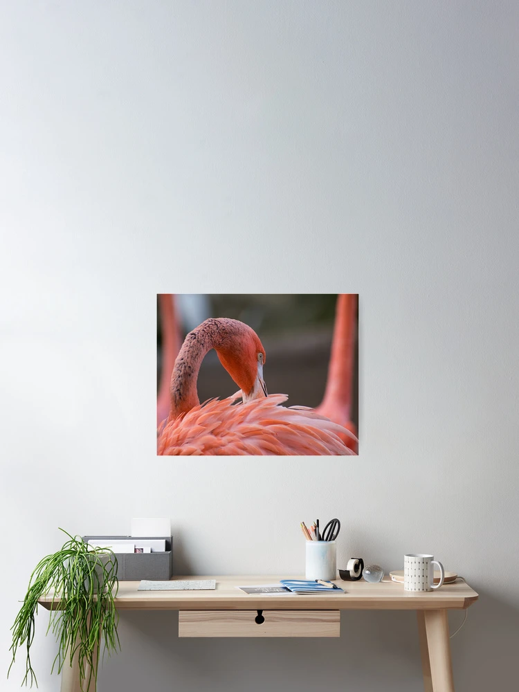 Thumbnail 2 of 3, Poster, Feather Ritual designed and sold by WrightDesignsUS.