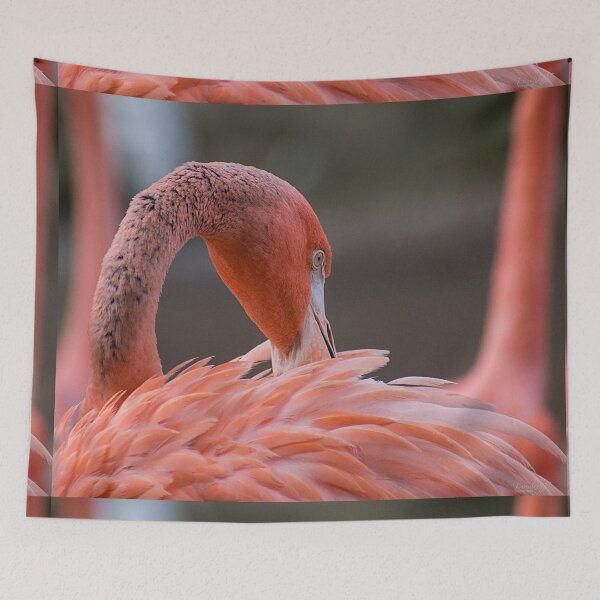 Item preview, Feather Ritual designed and sold by WrightDesignsUS.