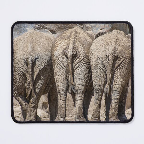 Item preview, Elephant Butts designed and sold by WrightDesignsUS.