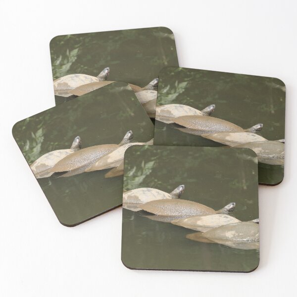 Item preview, Four turtles sunbathing in the river designed and sold by Clauzierra.