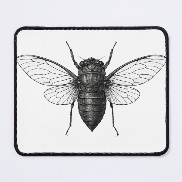 Item preview, Cicada | Still and Strange Minimalist Insect Art designed and sold by StillandStrange.