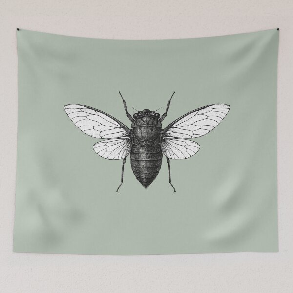 Item preview, Cicada | Still and Strange Minimalist Insect Art designed and sold by StillandStrange.