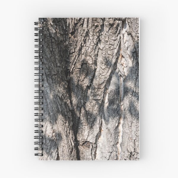 Item preview, Naturally Sculptural Tree Bark of Hundred Year Old Cottonwood designed and sold by Georgia Mizuleva.