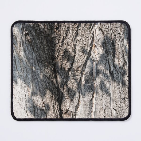 Item preview, Naturally Sculptural Tree Bark of Hundred Year Old Cottonwood designed and sold by Georgia Mizuleva.