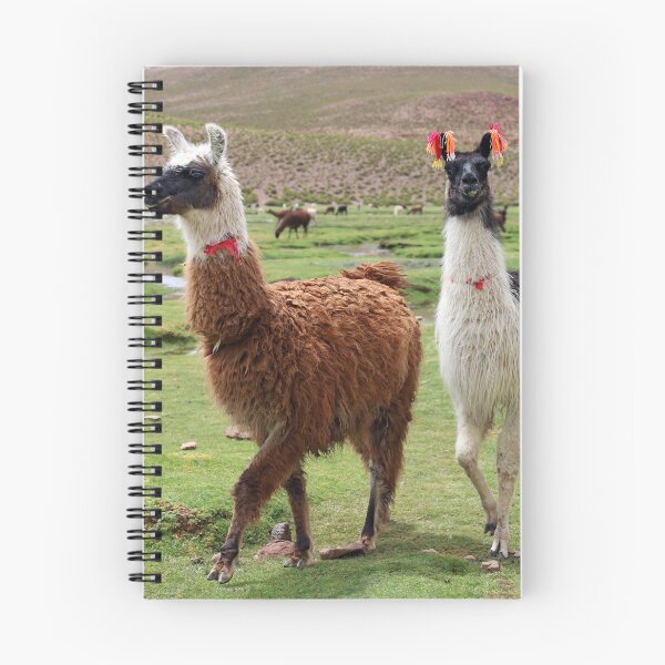 Item preview, Happy Llamas designed and sold by Clauzierra.