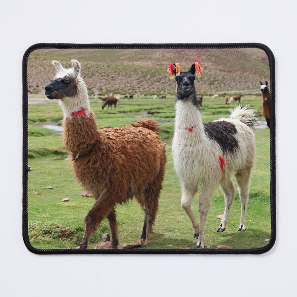 Item preview, Happy Llamas designed and sold by Clauzierra.