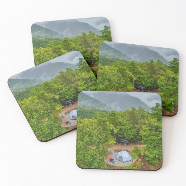 Item preview, Camp Rainforest Cafe Under Aurora designed and sold by dishcutnes.