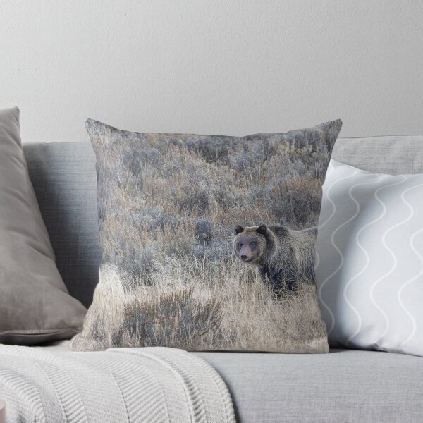Item preview, Grizzly Bear designed and sold by Puttaswamy Ravishankar.
