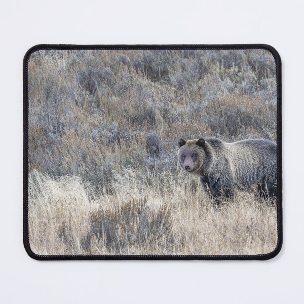 Item preview, Grizzly Bear designed and sold by Puttaswamy Ravishankar.