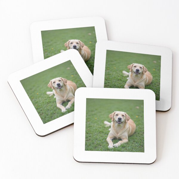 Item preview, Cute obedient dog  designed and sold by Hogh55.