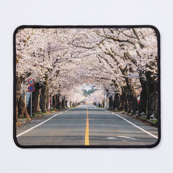 Item preview, Cherry Blossom Lined Road designed and sold by Ninanosunset.