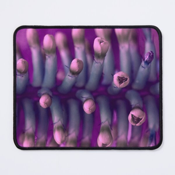 Item preview, Bromeliad Fantasy designed and sold by Siene Browne.