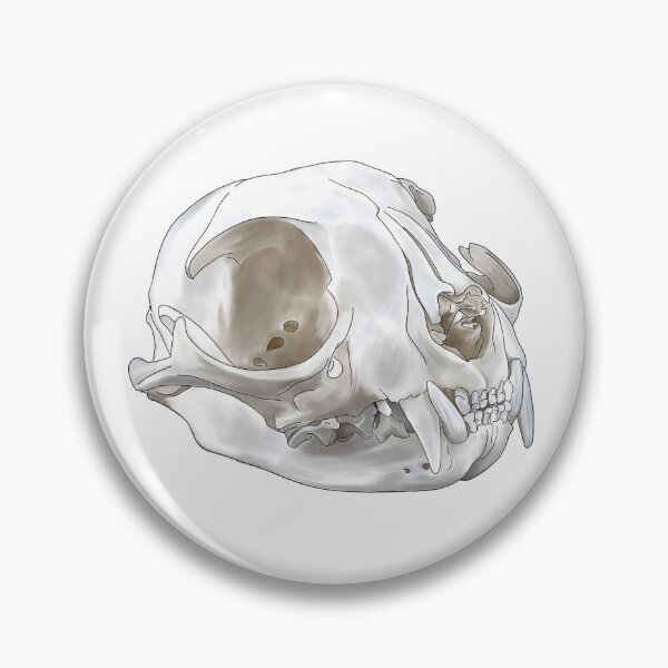 Item preview,  Anatomic Cat Skull designed and sold by Thevetstudent.