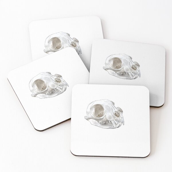 Item preview,  Anatomic Cat Skull designed and sold by Thevetstudent.