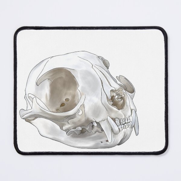 Item preview,  Anatomic Cat Skull designed and sold by Thevetstudent.