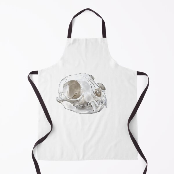 Item preview, Anatomic Cat Skull designed and sold by Thevetstudent.