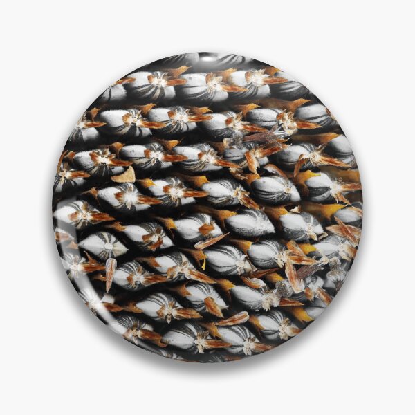 Item preview, Sunflower Seed Pattern designed and sold by Siene Browne.