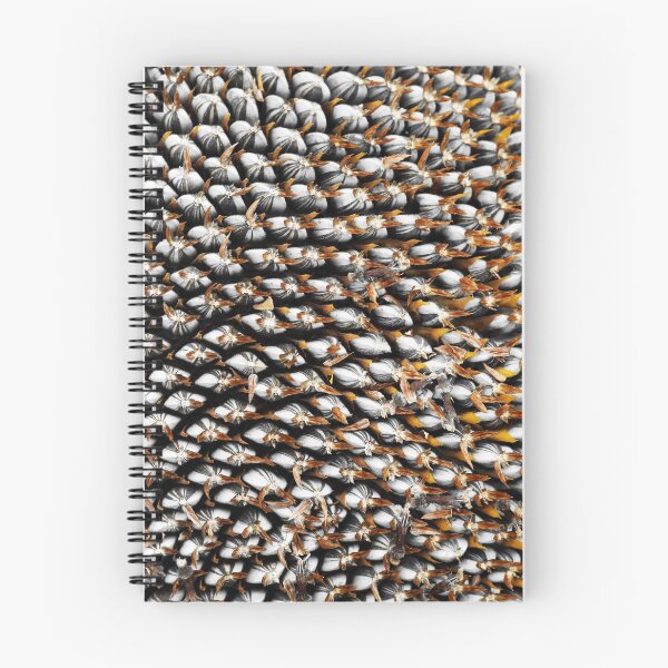 Item preview, Sunflower Seed Pattern designed and sold by Siene Browne.