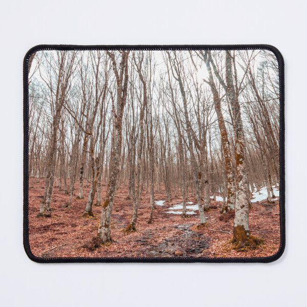 Item preview, Bare Beech Forest with Rust-Colored Leaves - Winter Transition Landscape designed and sold by MDB_Shop.