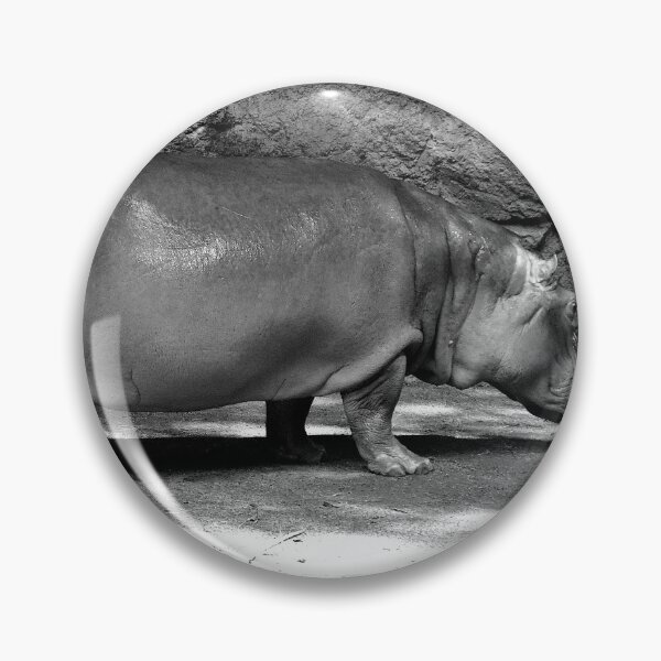Item preview, Solitary Hippopotamus in Enclosure designed and sold by MercerImages.