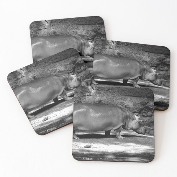 Item preview, Solitary Hippopotamus in Enclosure designed and sold by MercerImages.