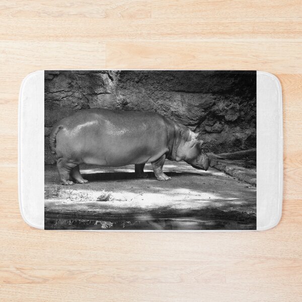 Item preview, Solitary Hippopotamus in Enclosure designed and sold by MercerImages.