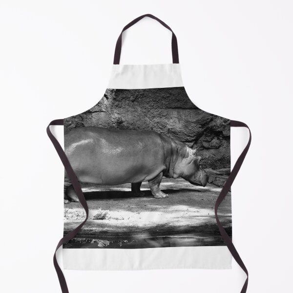 Item preview, Solitary Hippopotamus in Enclosure designed and sold by MercerImages.