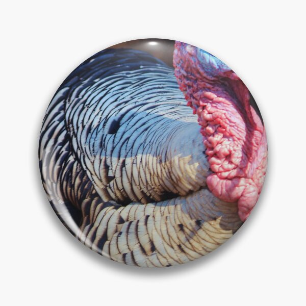 Item preview, Tom Turkey designed and sold by Cynthia48.