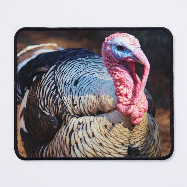 Item preview, Tom Turkey designed and sold by Cynthia48.