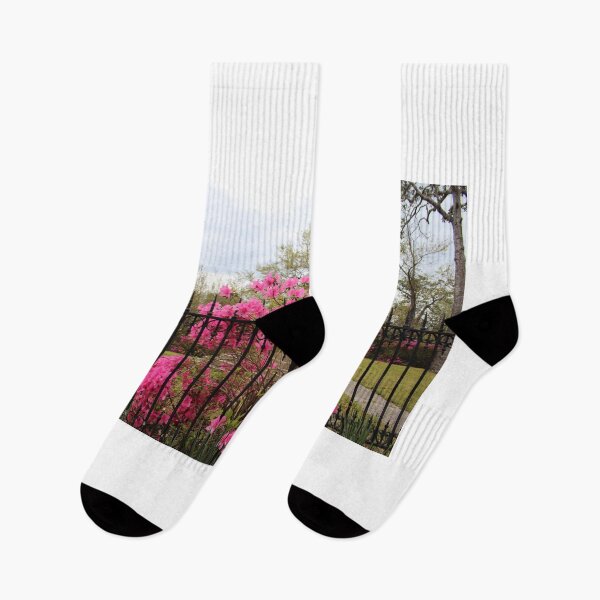 Item preview, Azaleas Along The Iron Fence designed and sold by Cynthia48.