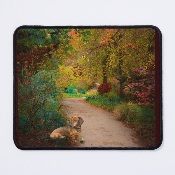 Item preview, Sausage Dog Autumn Walkies designed and sold by Alisonchambers2.