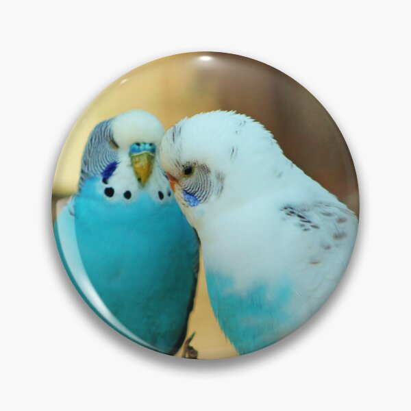 Item preview, Lovely Pair Of Budgies designed and sold by Cynthia48.