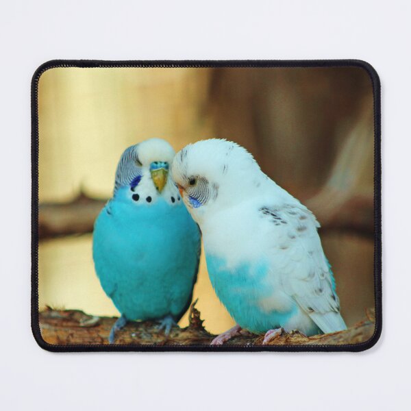 Item preview, Lovely Pair Of Budgies designed and sold by Cynthia48.