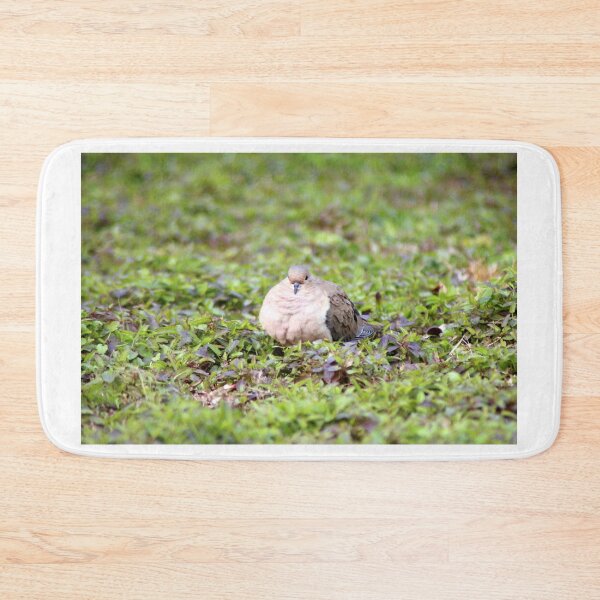 Item preview, Mourning Dove Stare designed and sold by Cynthia48.