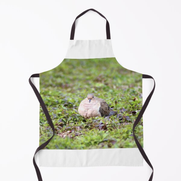 Item preview, Mourning Dove Stare designed and sold by Cynthia48.