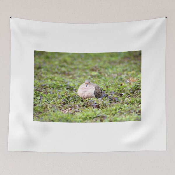 Item preview, Mourning Dove Stare designed and sold by Cynthia48.