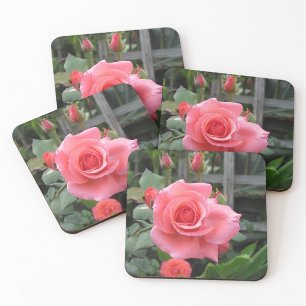 Item preview, Roses And Buds designed and sold by Cynthia48.