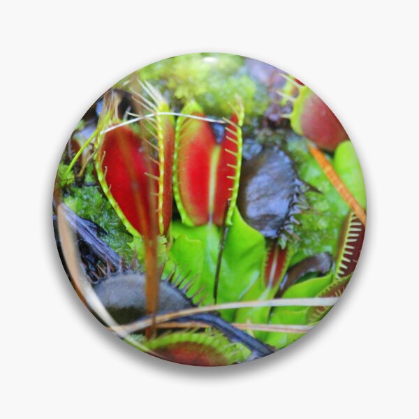 Item preview, Venus Flytrap designed and sold by Cynthia48.