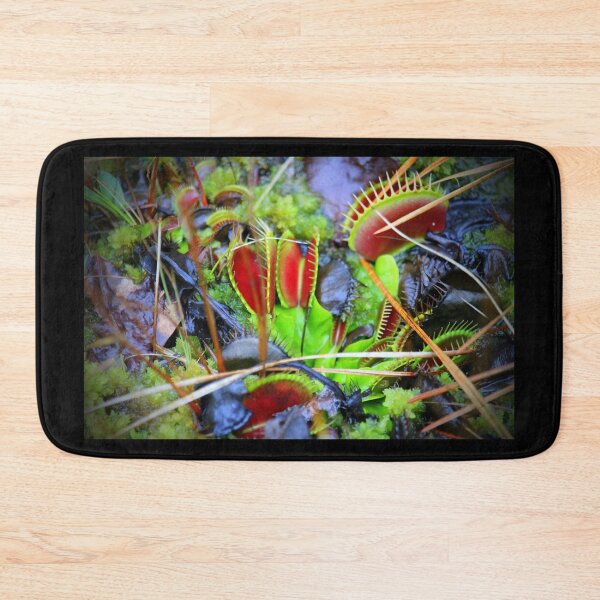 Item preview, Venus Flytrap designed and sold by Cynthia48.