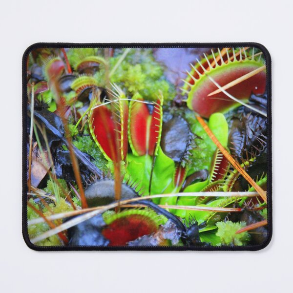 Item preview, Venus Flytrap designed and sold by Cynthia48.