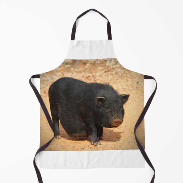 Item preview, Vietnamese Pot-bellied Pig designed and sold by Cynthia48.