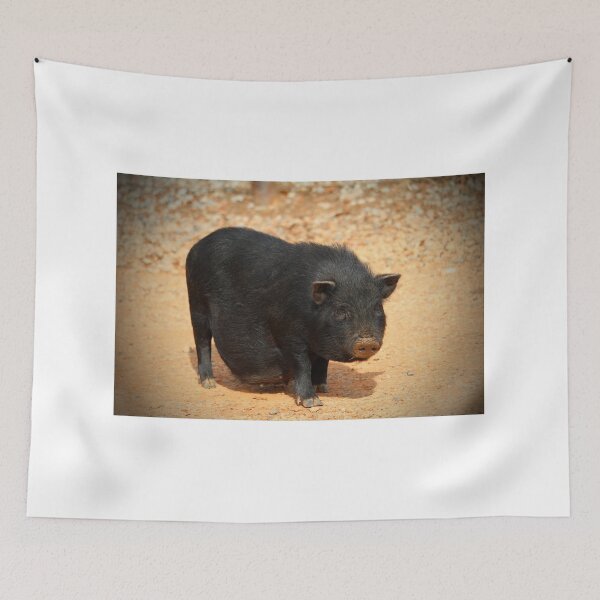 Item preview, Vietnamese Pot-bellied Pig designed and sold by Cynthia48.