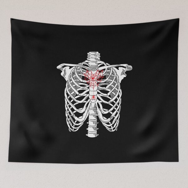 Item preview, Skeleton Torso Spider Web designed and sold by StoneybrokeM.